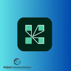 adobe connect enterprise