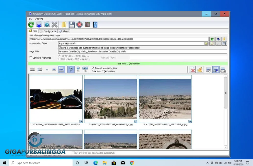 bulk image downloader online