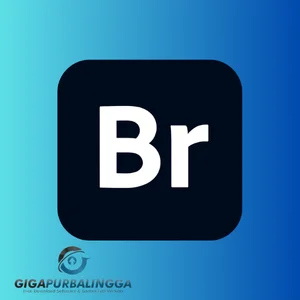 download adobe bridge bagas31
