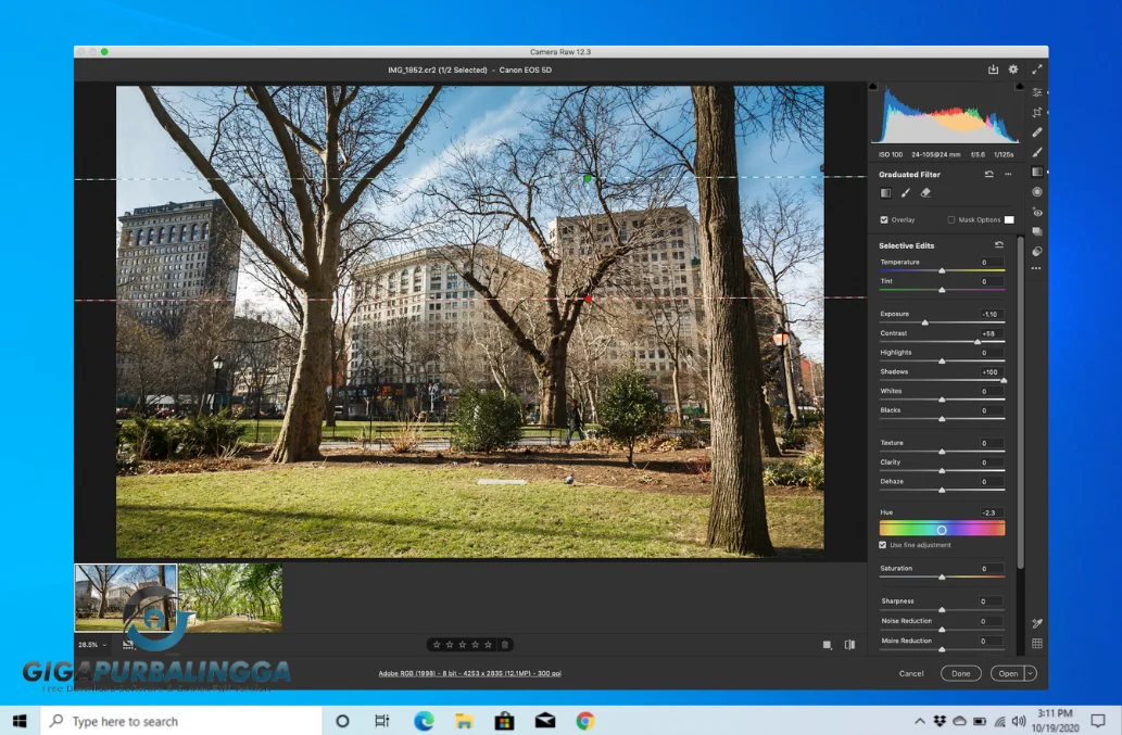 download adobe camera raw