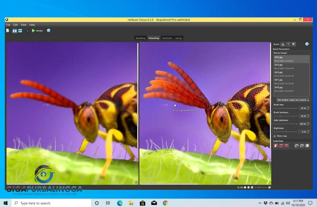 heliconsoft helicon focus pro