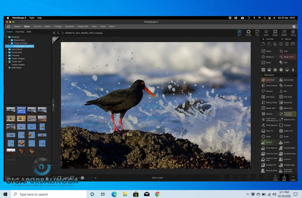 photoscape x pro full windows 10