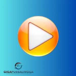 zoom player max download