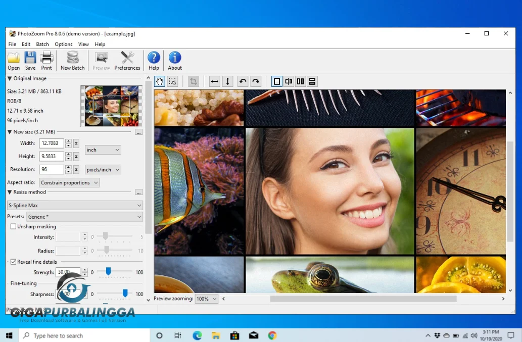 benvista photozoom full