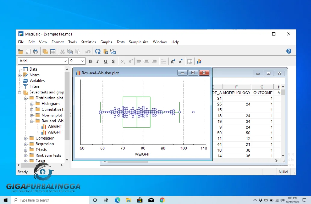 download medcalc full crack