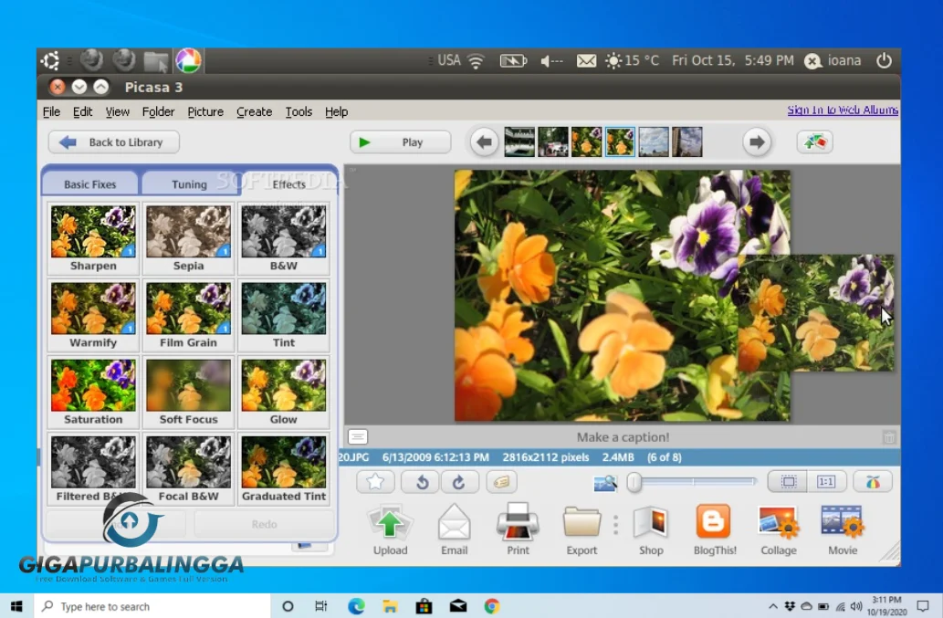 download picasa 64 bit