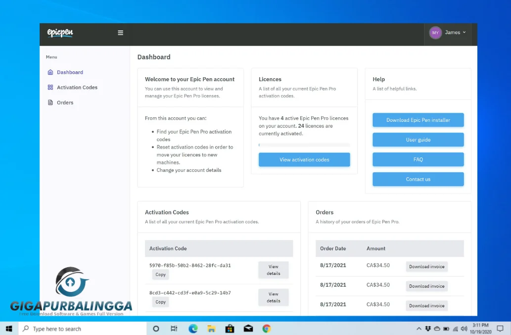 epic pen pro portable