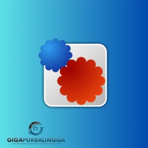 faststone photo resizer full version