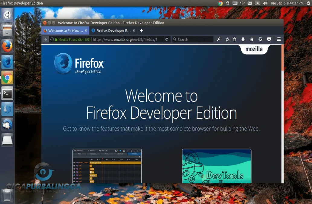 firefox developer edition download linux