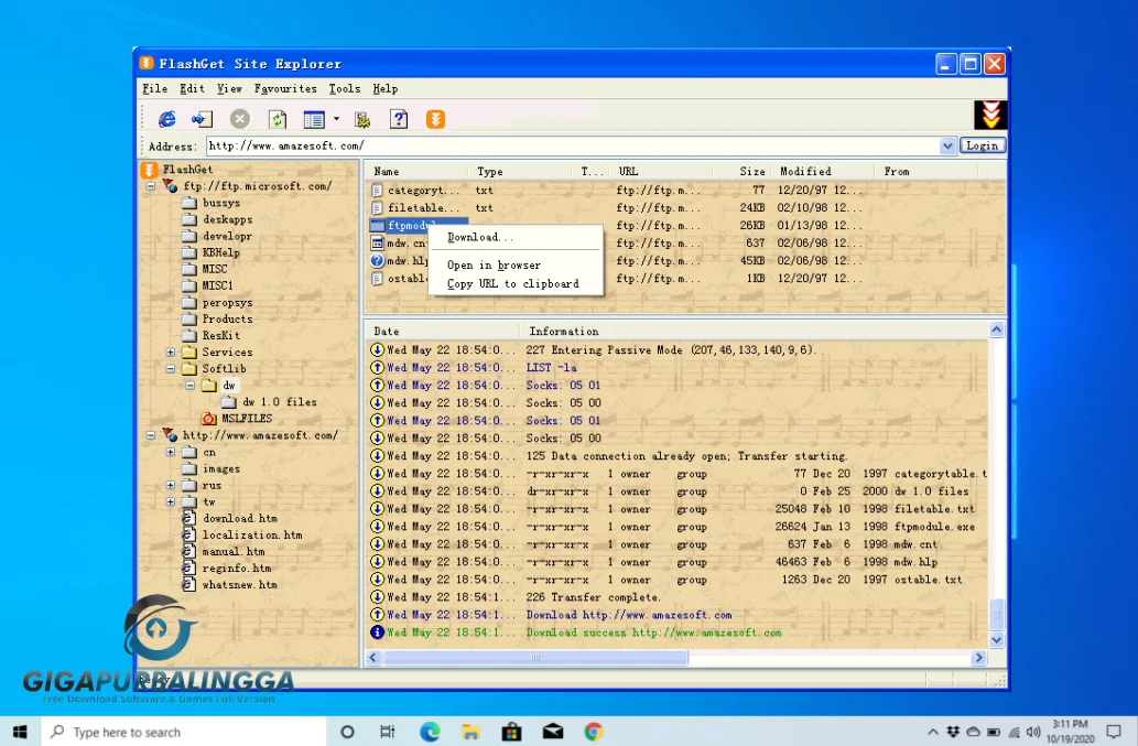 flashget free download for windows 7