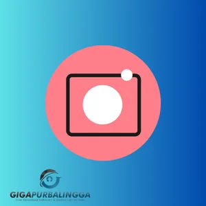 movavi picverse full