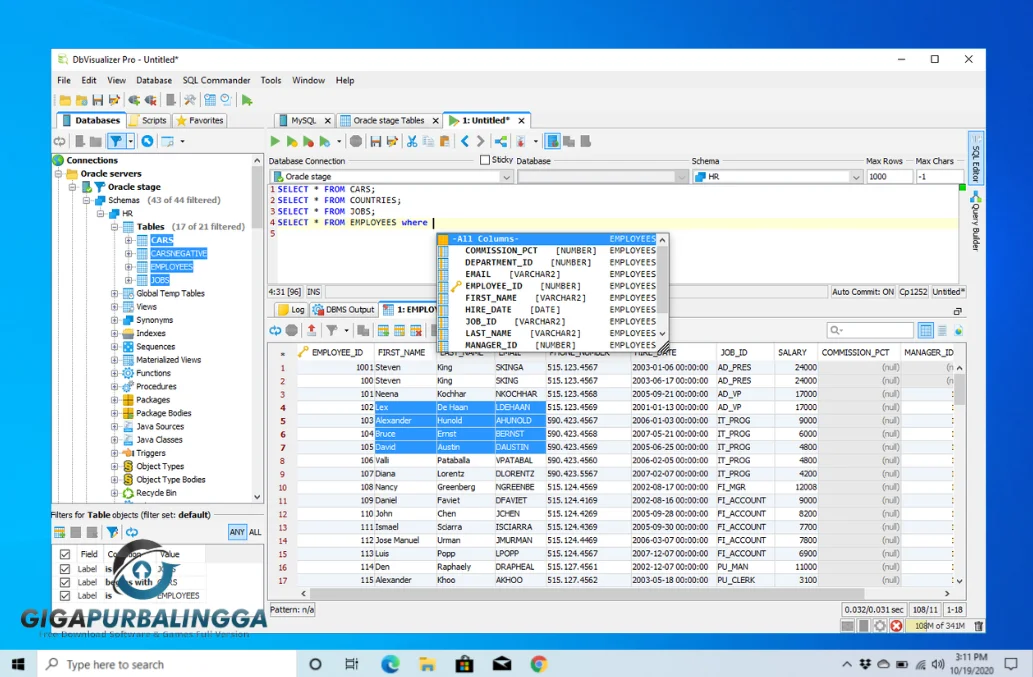 dbvisualizer pro free download