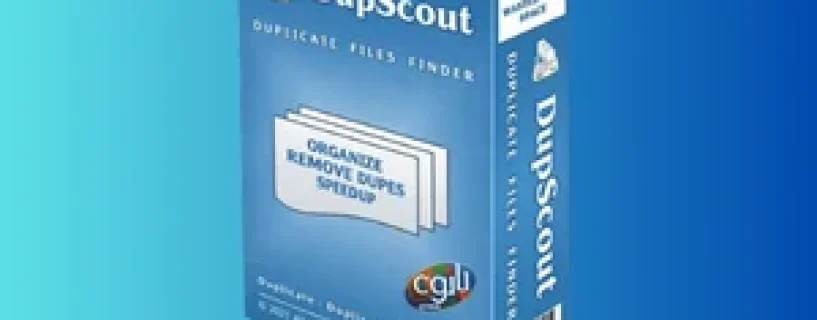 Dup Scout Enterprise: Solusi Manajemen File Duplikat Terbaik di Gigapurbalingga
