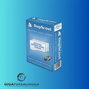 dup scout enterprise v10.0.18