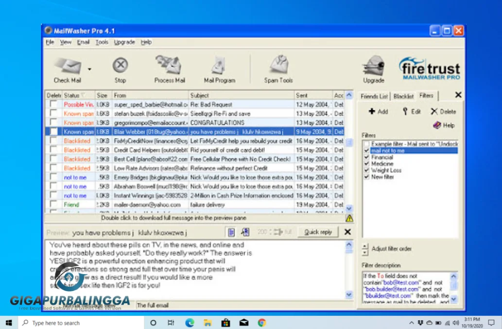 firetrust mailwasher pro