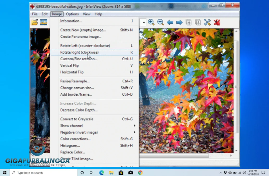 irfanview x64 download