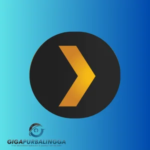 plex media server for windows 7mailwasher