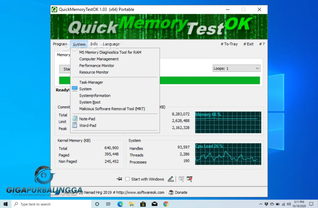 quickmemorytestok