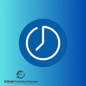 softwarenetz time registration