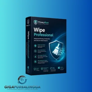 wipe professional 2023