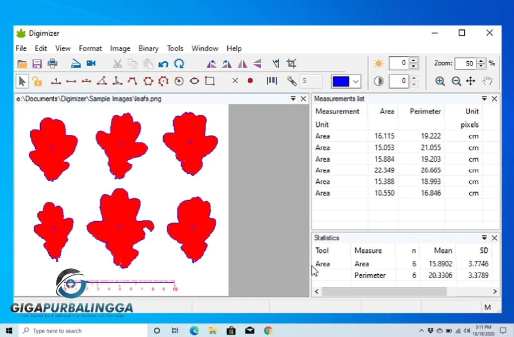 digimizer download