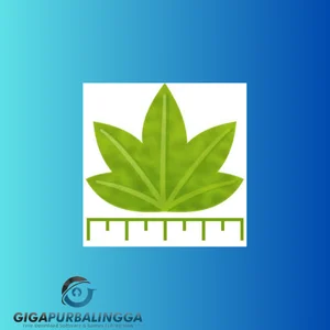 digimizer software