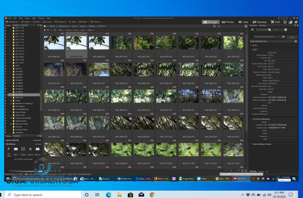 download acdsee pro 9 full keygen