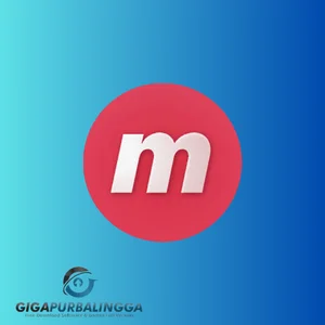 memorycleaner full version
