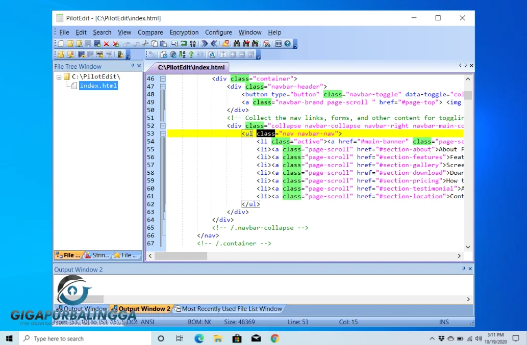pilotedit pro full version