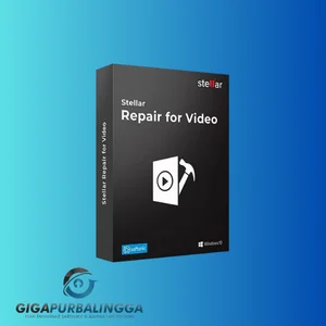 stellar repair for video portable
