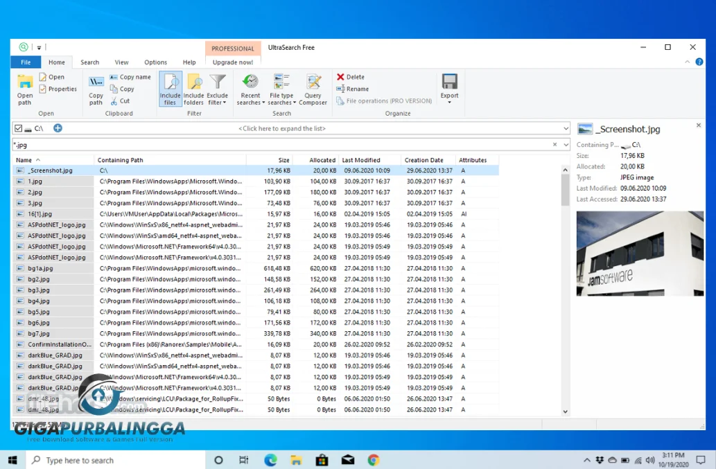 ultrasearch professional
