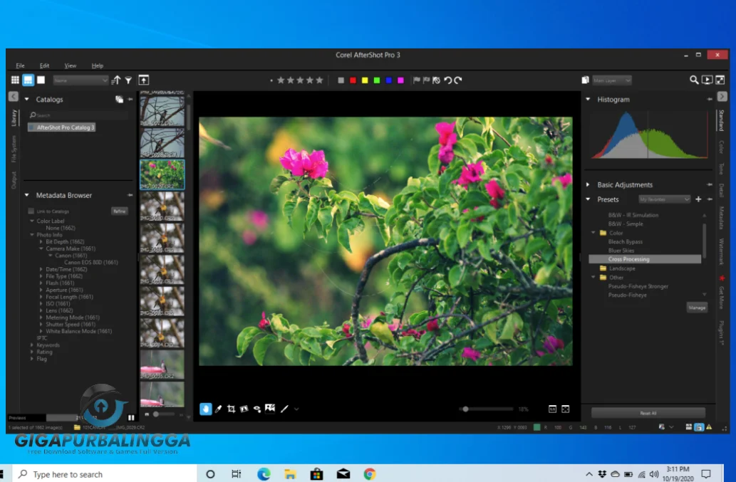 corel aftershot pro 3 download