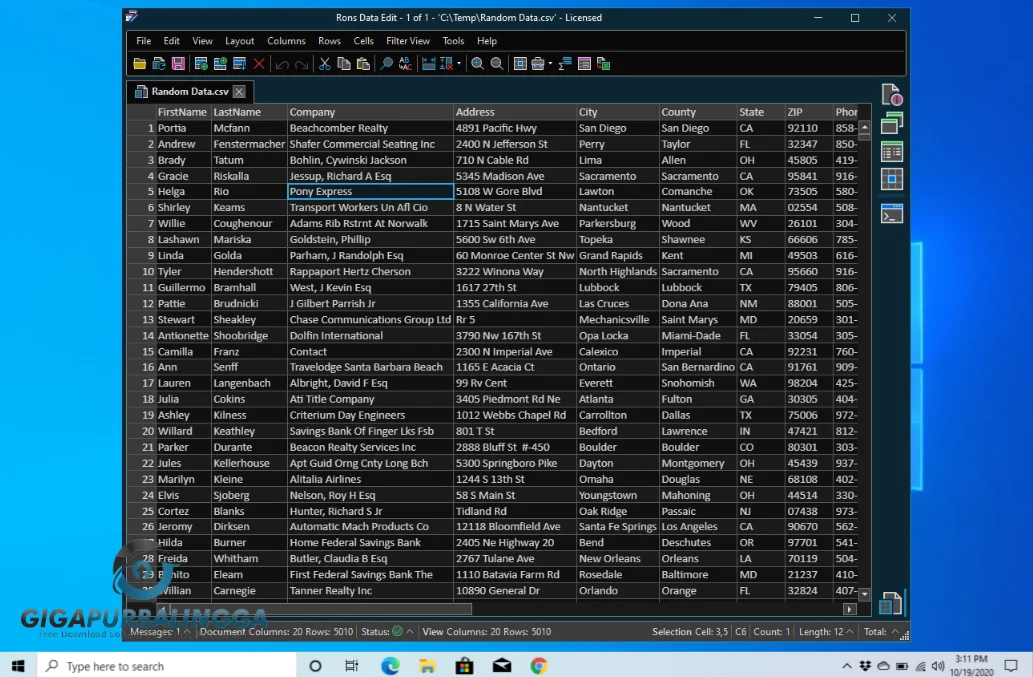 rons data edit pro free download