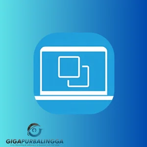 hasleo disk clone full version