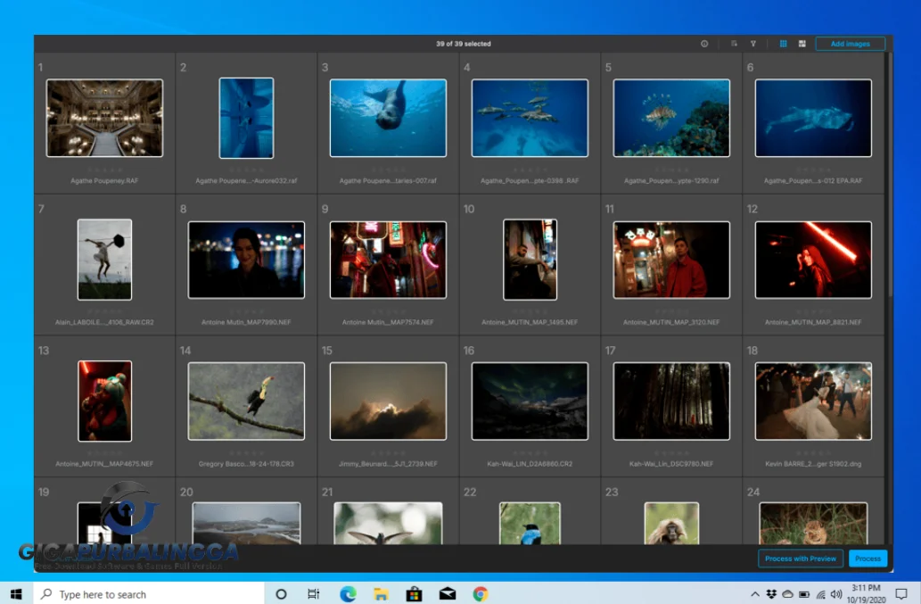 dxo pureraw 5.1.0.6