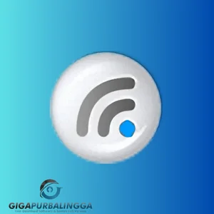 RadioMaximus Pro Portable