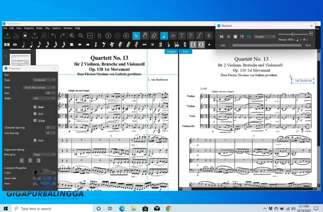 scanscore professional full version