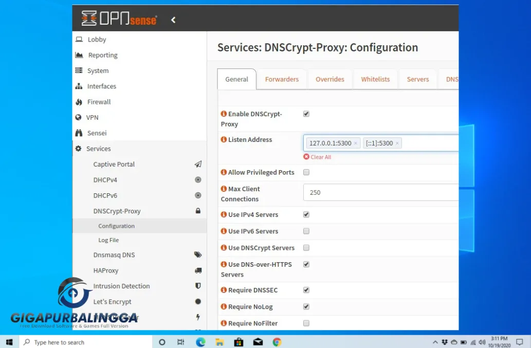 dnscrypt-proxy 2 free download