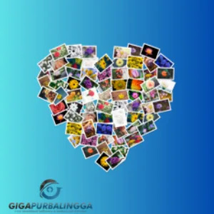 figrcollage software
